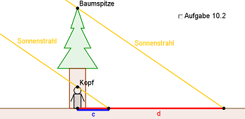 Simulation 7